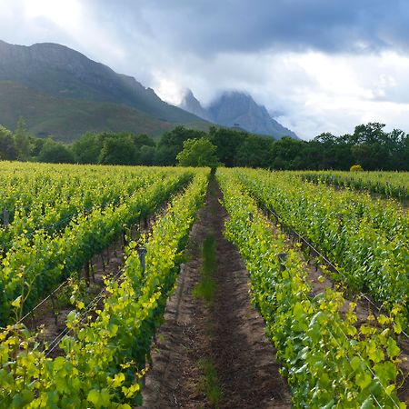 Lanzerac Hotel & Spa Stellenbosch Ngoại thất bức ảnh