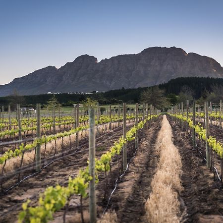 Lanzerac Hotel & Spa Stellenbosch Ngoại thất bức ảnh