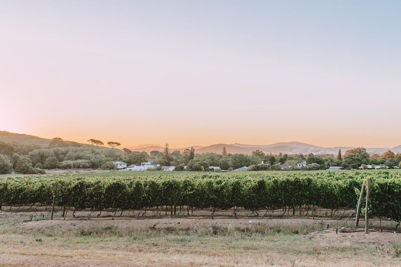 Lanzerac Hotel & Spa Stellenbosch Ngoại thất bức ảnh