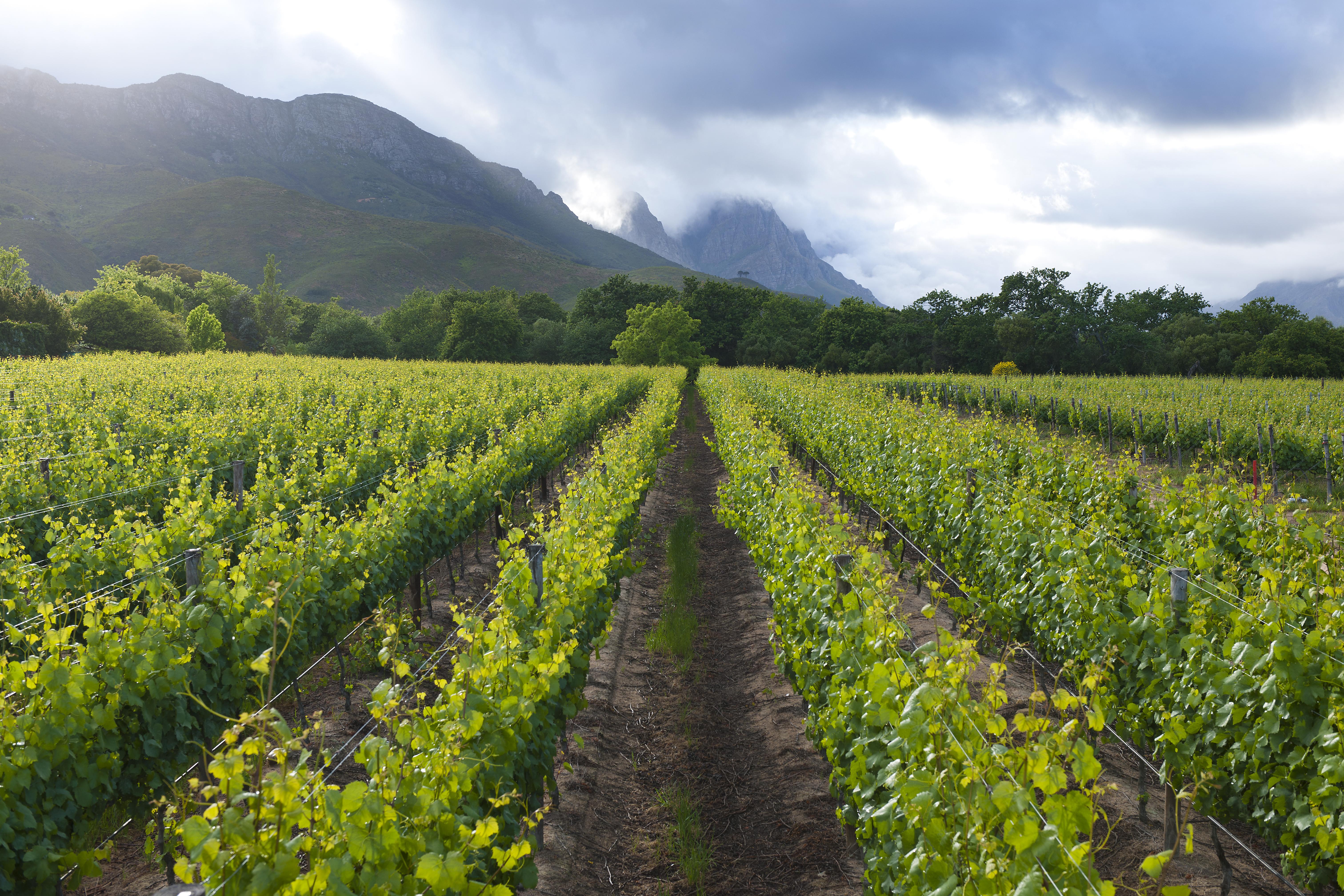 Lanzerac Hotel & Spa Stellenbosch Ngoại thất bức ảnh