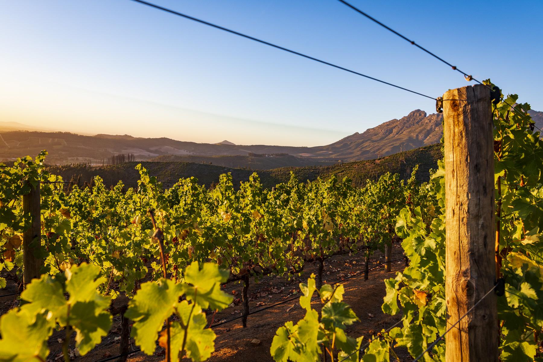 Lanzerac Hotel & Spa Stellenbosch Ngoại thất bức ảnh