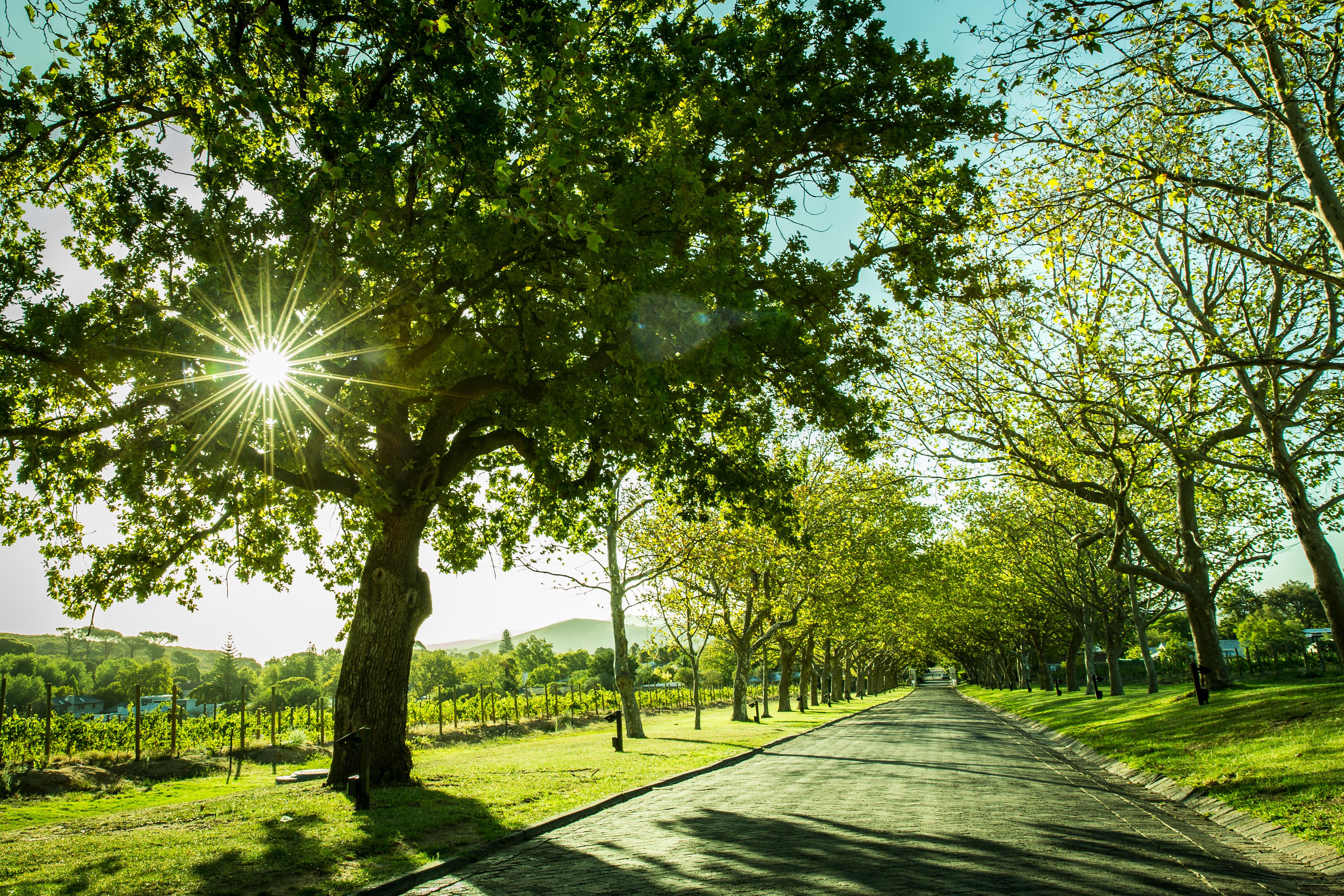 Lanzerac Hotel & Spa Stellenbosch Ngoại thất bức ảnh